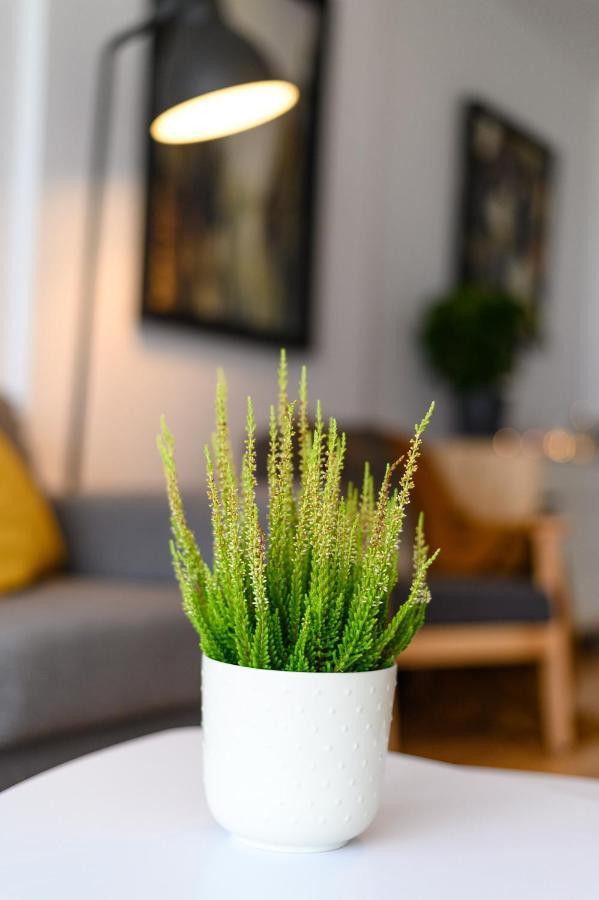 Northapartments * Bucarest